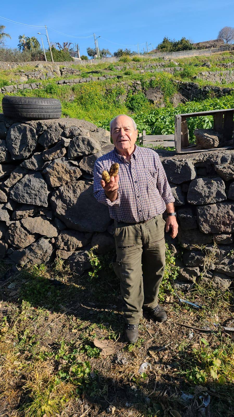 Brambory nové 0,5kg - Sicílie