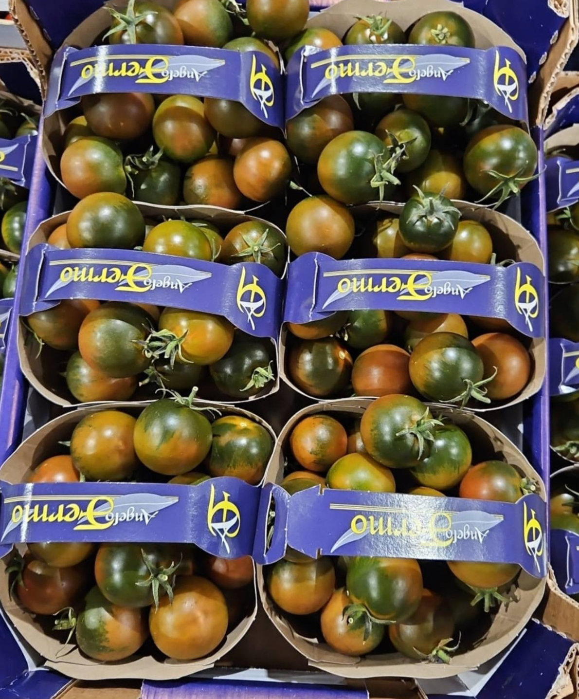 Rajčata Camon 1kg - Sicílie