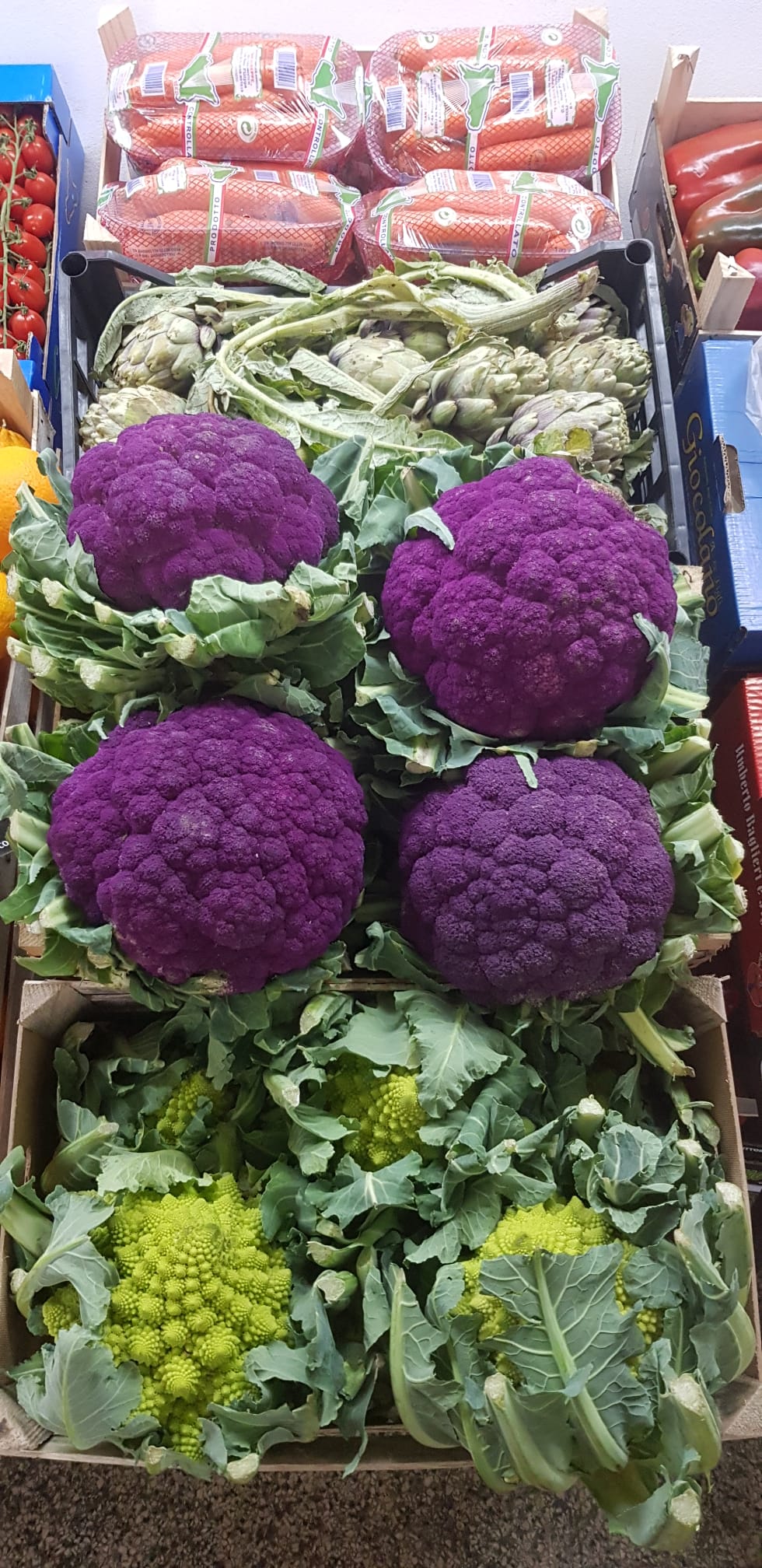Květák fialový 1,2 kg - Sicílie