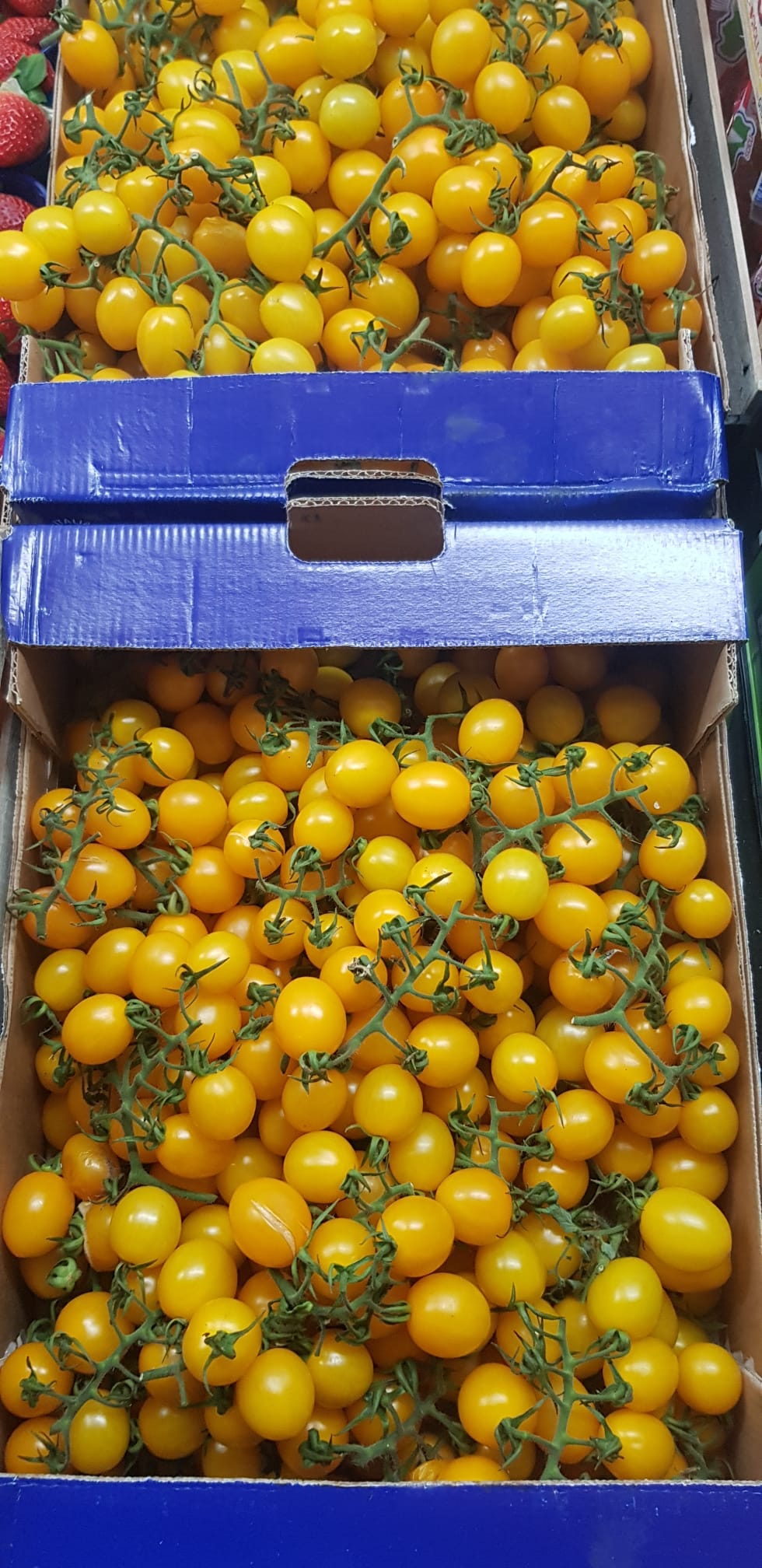 Rajčata 0,5kg - Cherry Žlutá- Sicílie