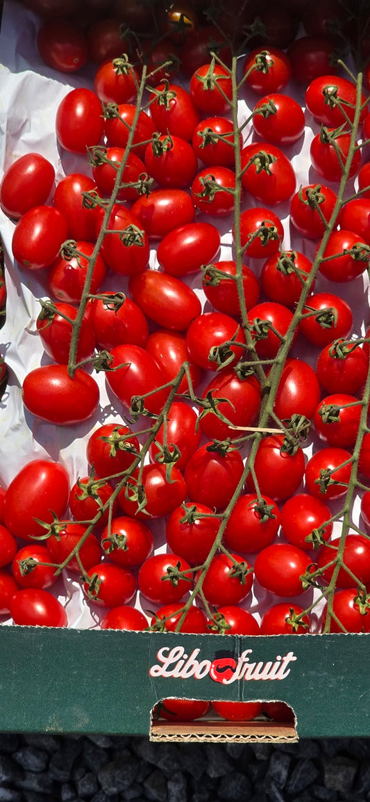 Rajčata 0,5kg - Cherry - Sicílie