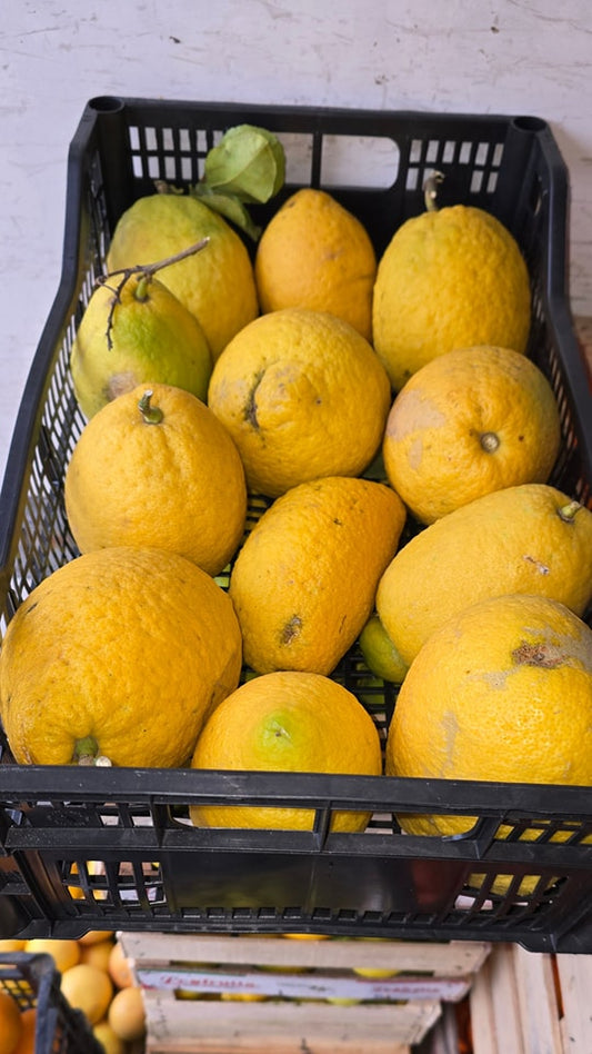 Cedro 0,5kg - Sicílie