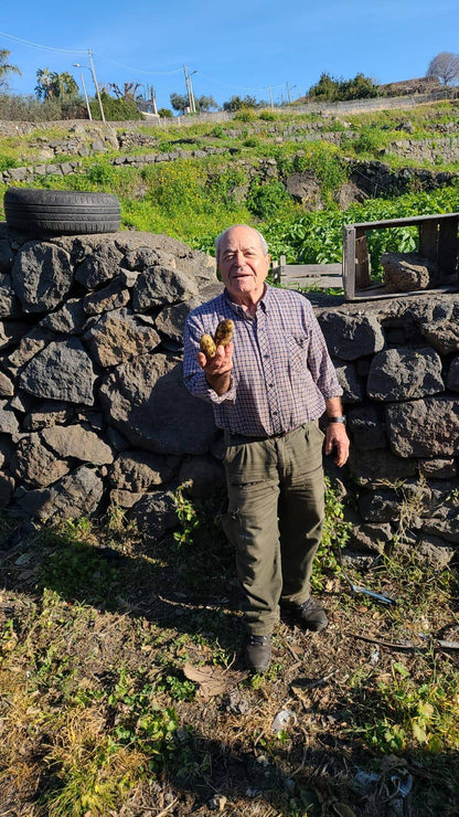 Brambory nové 0,5kg - Sicílie