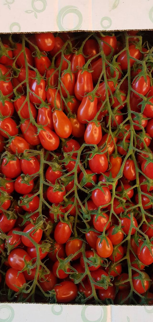 Rajčata Datterino 0,5kg - Sicílie