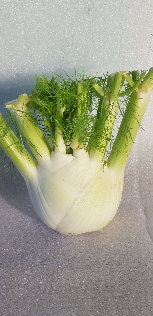 Fenykl 0,5kg - Sicílie