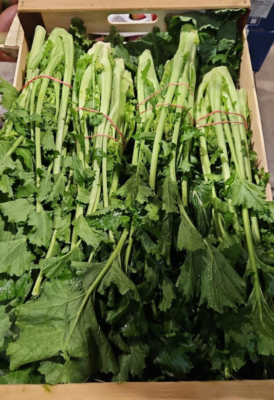 Divoká brokolice (Cime di Rapa)
