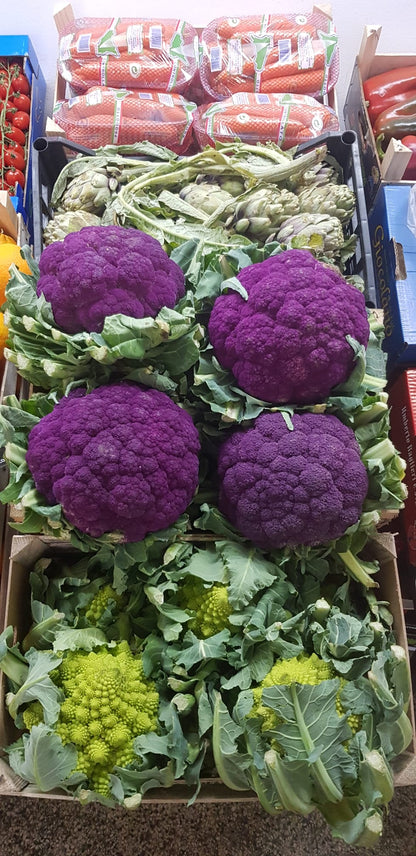 Květák fialový 1,2 kg - Sicílie