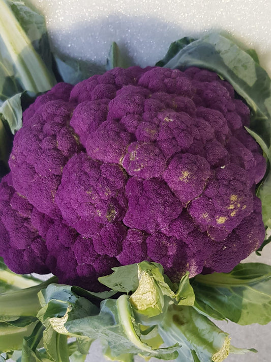 Květák fialový 1,2 kg - Sicílie