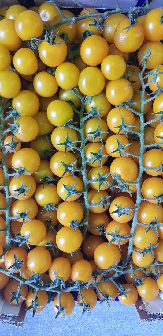 Rajčata 0,5kg - Cherry Žlutá- Sicílie