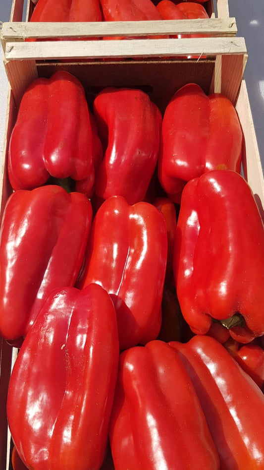 Paprika 0,5kg - Sicílie