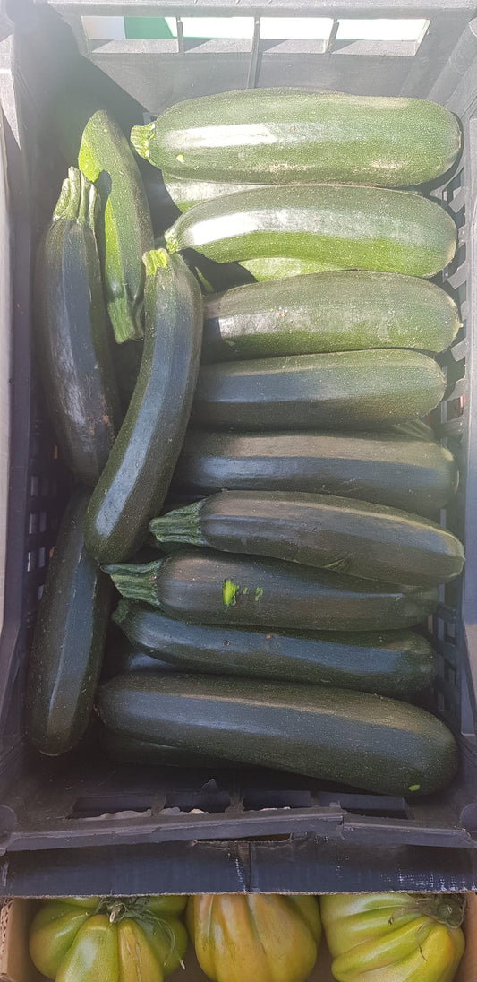 Cuketa 0,5kg - Sicílie